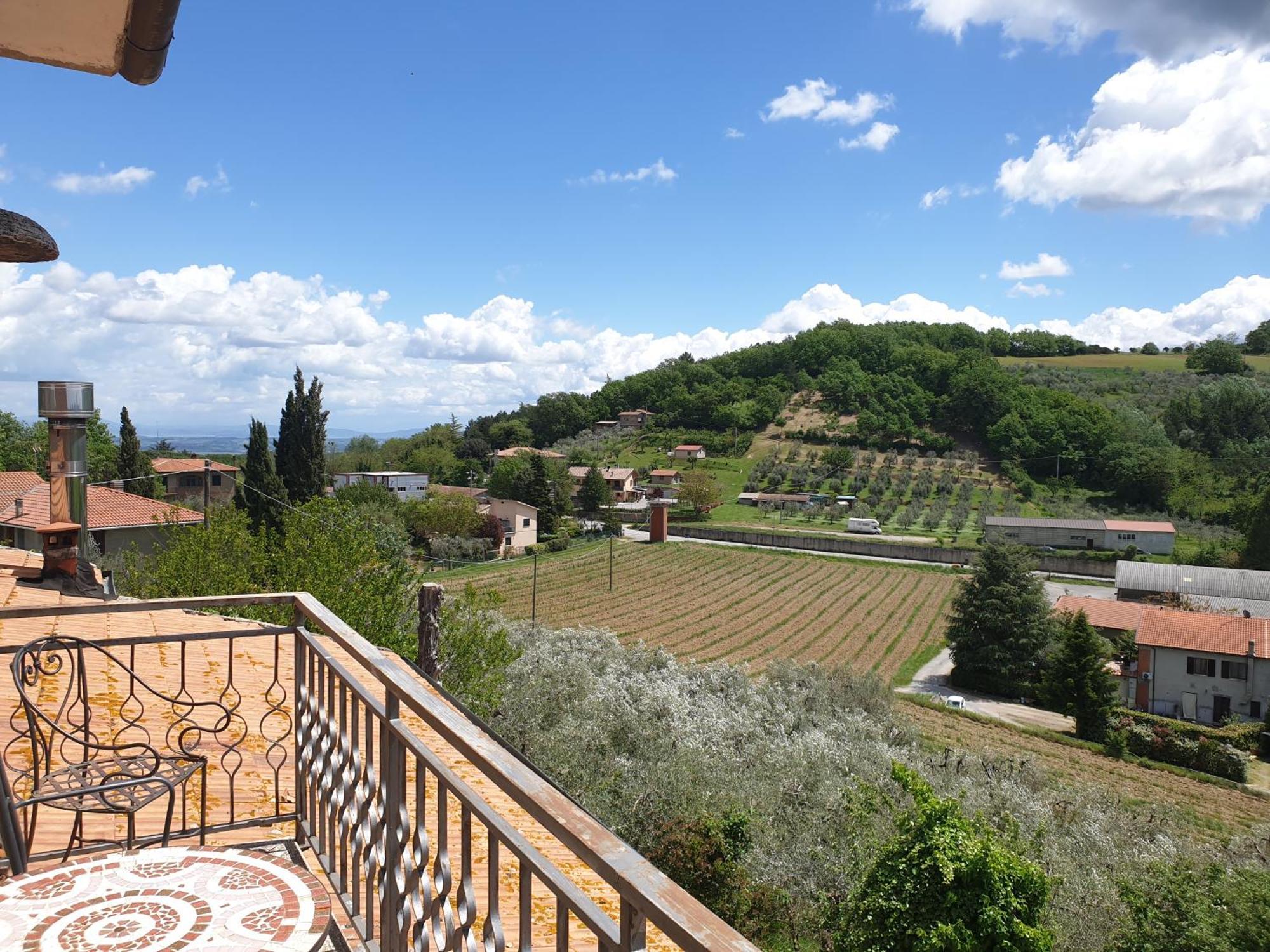 Cognanello *