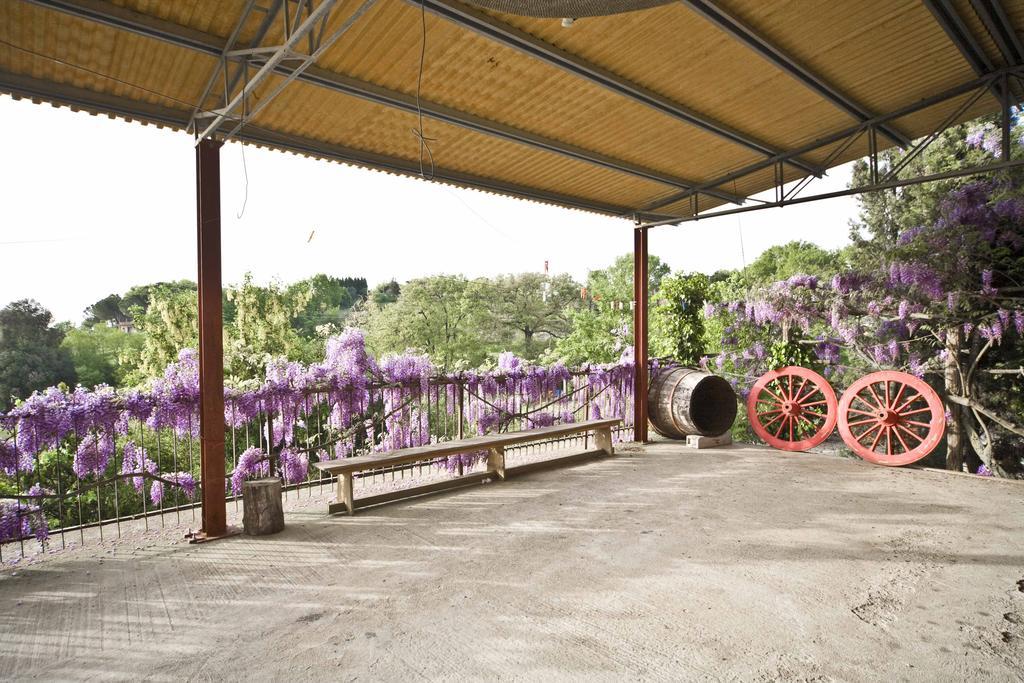Cognanello